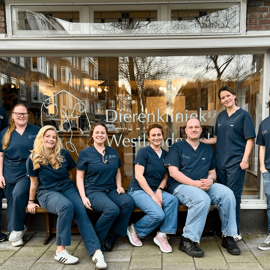Team foto Dierenkliniek Westlandgracht